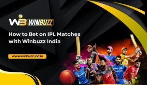 How to Bet on IPL Matches with Winbuzz India