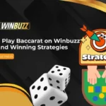 How to Play Baccarat on Winbuzz Rules and Winning Strategies
