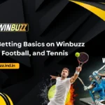 Sports Betting Basics on Winbuzz Cricket, Football, and Tennis
